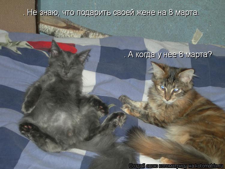 — Не знаю, что подарить своей жене на 8 марта… — А когда у нее 8 марта?... Котоматрица: — Не знаю, что подарить своей жене на 8 марта… — А когда у нее 8 марта?