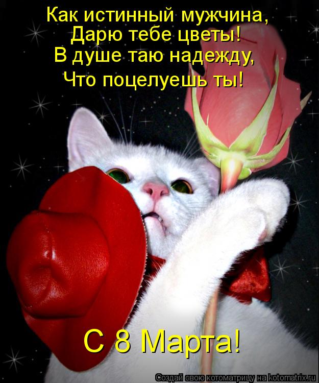 Котоматрица: С 8 Марта! Как истинный мужчина, Дарю тебе цветы! В душе таю надежду, Что поцелуешь ты!