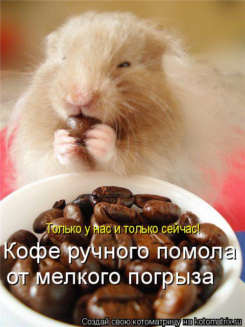 Кофе ручного помола от мелкого погрыза Только у нас и только сейчас!... Котоматрица: Кофе ручного помола от мелкого погрыза Только у нас и только сейчас!