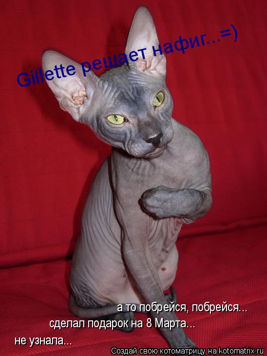 Gillette решает нафиг...=) а то побрейся, побрейся... а то побрейся, побрейся... сделал подарок на 8 ... Котоматрица: Gillette решает нафиг...=) а то побрейся, побрейся... а то побрейся, побрейся... сделал подарок на 8 Марта... не узнала...