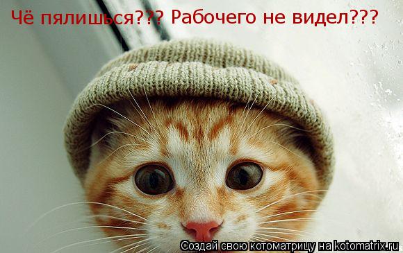Котоматрица: Чё пялишься??? Рабочего не видел???