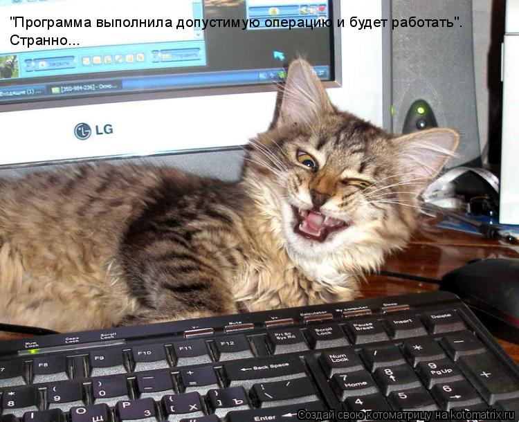"Программа выполнила допустимую операцию и будет работать". Странно...... Котоматрица: "Программа выполнила допустимую операцию и будет работать". Странно...