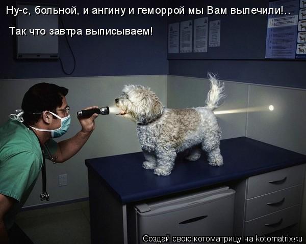 Так что завтра выписываем! Ну-с, больной, и ангину и геморрой мы Вам вылечили!..... Котоматрица: Так что завтра выписываем! Ну-с, больной, и ангину и геморрой мы Вам вылечили!..