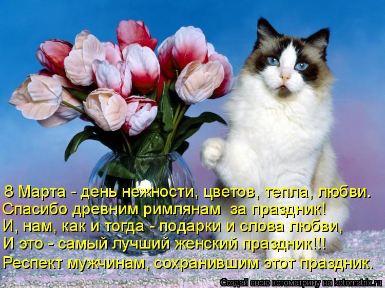 Котоматрица: 8 Марта - день нежности, цветов, тепла, любви. Спасибо древним римлянам  за праздник! И, нам, как и тогда - подарки и слова любви, И это - самый лу