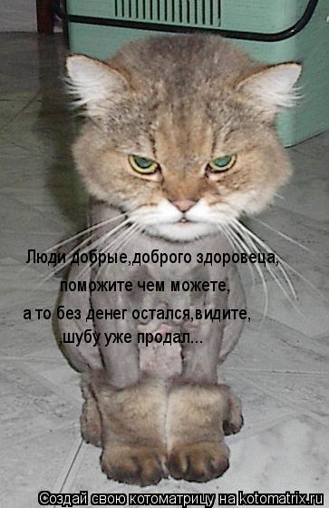 Котоматрица: Люди добрые,доброго здоровеца,поможите чем можете,а то без денег остался,видите,шубу уже продал... Люди добрые,доброго здоровеца, поможите ч