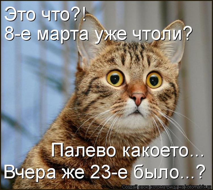 Это что?! 8-е марта уже чтоли? Палево какоето... Вчера же 23-е было...?... Котоматрица: Это что?! 8-е марта уже чтоли? Палево какоето... Вчера же 23-е было...?