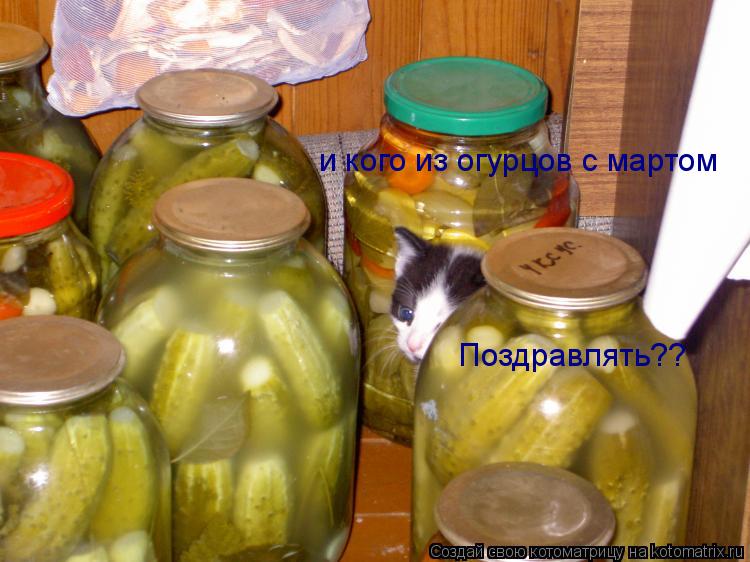и кого из огурцов с мартом Поздравлять??... Котоматрица: и кого из огурцов с мартом Поздравлять??