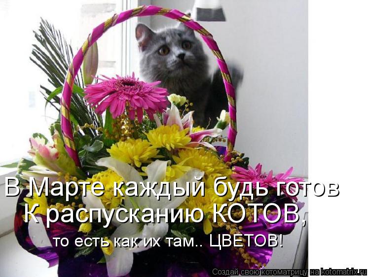 В Марте каждый будь готов К распусканию КОТОВ, то есть как их там.. ЦВЕТОВ!... Котоматрица: В Марте каждый будь готов К распусканию КОТОВ, то есть как их там.. ЦВЕТОВ!