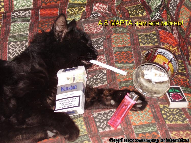 А 8 МАРТА нам все можно!... Котоматрица: А 8 МАРТА нам все можно!