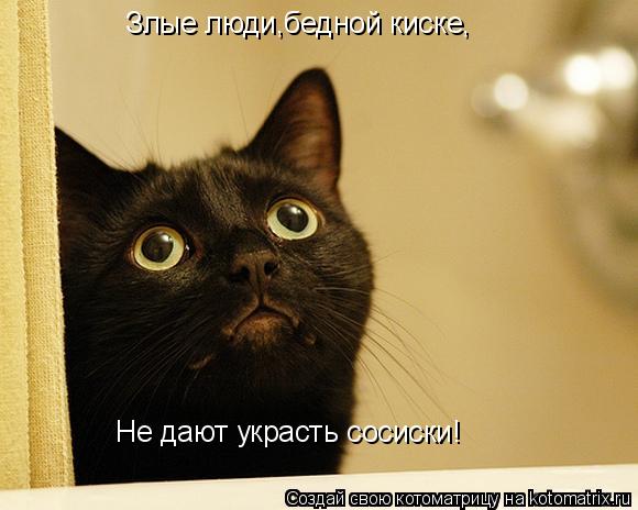 Злые люди,бедной киске, Не дают украсть сосиски!... Котоматрица: Злые люди,бедной киске, Не дают украсть сосиски!