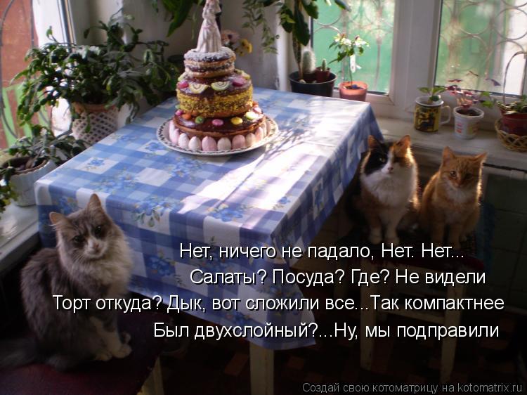 Был двухслойный?...Ну, мы подправили Салаты? Посуда? Где? Не видели Нет, ничего не падало, Нет. Нет..... Котоматрица: Был двухслойный?...Ну, мы подправили Салаты? Посуда? Где? Не видели Нет, ничего не падало, Нет. Нет... Торт откуда? Дык, вот сложили все...Так комп