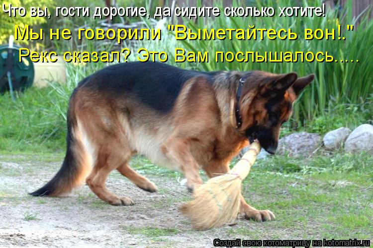 Что вы, гости дорогие, да сидите сколько хотите! С ческазал "Выметайтесь вон?" Мы не говорили "Вымета... Котоматрица: Что вы, гости дорогие, да сидите сколько хотите! С ческазал "Выметайтесь вон?" Мы не говорили "Выметайтесь вон!." Рекс сказал? Это Вам послышал