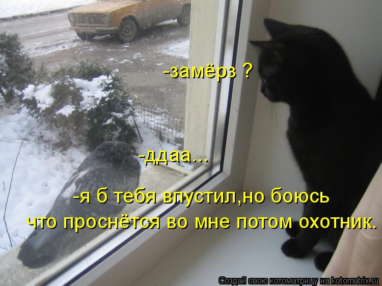 -замёрз ? -ддаа... -я б тебя впустил,но боюсь что проснётся во мне потом охотник.... Котоматрица: -замёрз ? -ддаа... -я б тебя впустил,но боюсь что проснётся во мне потом охотник.
