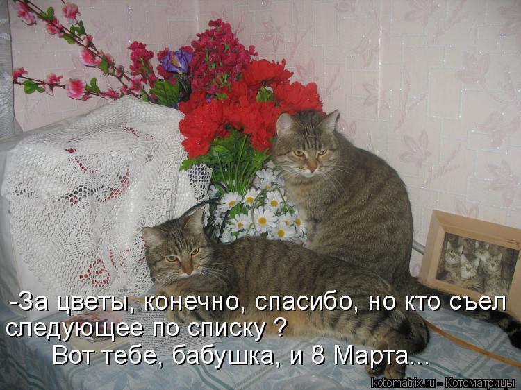 Котоматрица: -За цветы, конечно, спасибо, но кто съел  следующее по списку ? Вот тебе, бабушка, и 8 Марта...