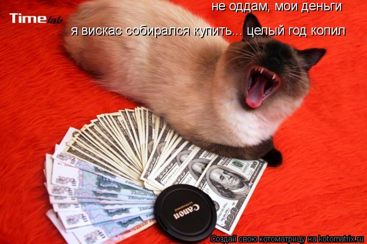 не оддам, мои деньги я вискас собирался купить... целый год копил... Котоматрица: не оддам, мои деньги я вискас собирался купить... целый год копил