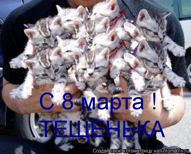 С 8 марта ! ТЕЩЕНЬКА... Котоматрица: С 8 марта ! ТЕЩЕНЬКА