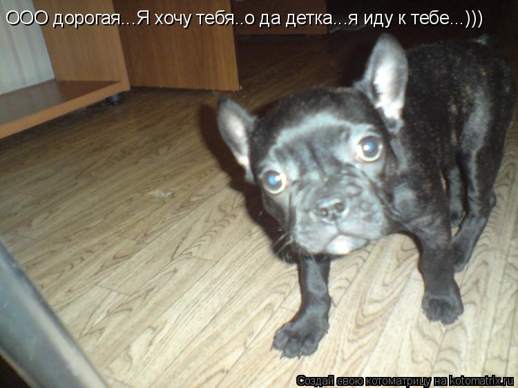 ООО дорогая...Я хочу тебя..о да детка...я иду к тебе...)))... Котоматрица: ООО дорогая...Я хочу тебя..о да детка...я иду к тебе...)))