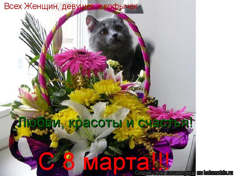 Всех Женщин, девушек и кофычек С 8 марта!!! Любви, красоты и счастья!... Котоматрица: Всех Женщин, девушек и кофычек С 8 марта!!! Любви, красоты и счастья!