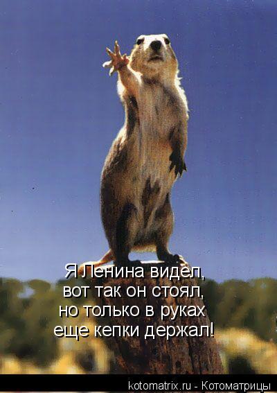 Я Ленина видел, вот так он стоял, но только в руках еще кепки держал!... Котоматрица: Я Ленина видел, вот так он стоял, но только в руках еще кепки держал!