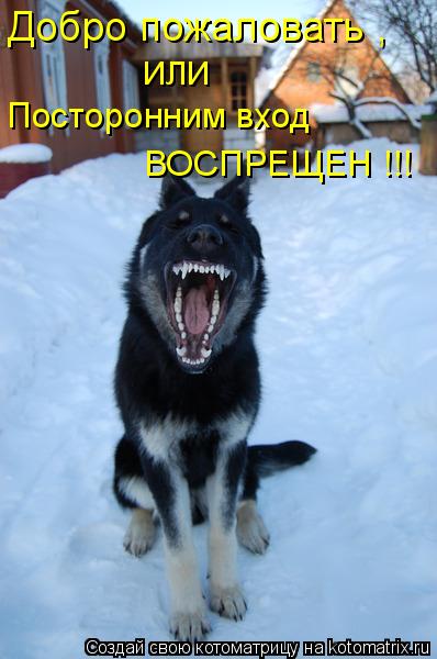 Котоматрица: Добро пожаловать , ИЛИ  Посторонним вход ВОСПРЕЩЕН !!!