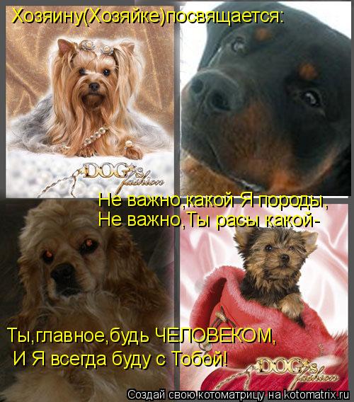Котоматрица: Хозяину(Хозяйке)посвящается: Не важно,какой Я породы, Не важно,Ты расы какой- Ты,главное,будь ЧЕЛОВЕКОМ, И Я всегда буду с Тобой!