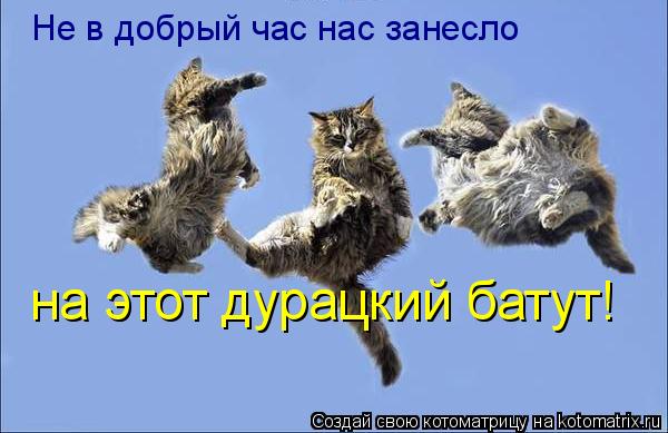 Котоматрица: Не в добрый час нас занесло на этот дурацкий батут!
