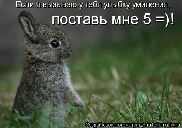 Если я вызываю у тебя улыбку умиления, поставь мне 5 =)!... Котоматрица: Если я вызываю у тебя улыбку умиления, поставь мне 5 =)!