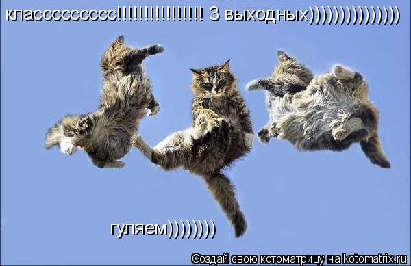 классссссссс!!!!!!!!!!!!!!!! 3 выходных))))))))))))))) гуляем))))))))... Котоматрица: классссссссс!!!!!!!!!!!!!!!! 3 выходных))))))))))))))) гуляем))))))))