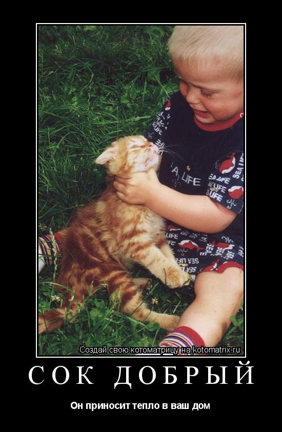 Котоматрица: СОК ДОБРЫЙ Он приносит тепло в ваш дом