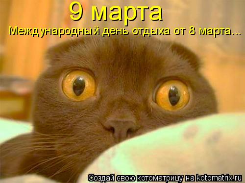 Котоматрица: 9 марта  Международный день отдыха от 8 марта...