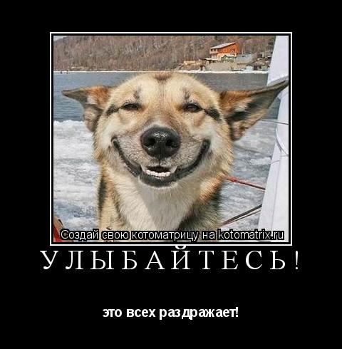Улыбайтесь! это всех раздражает!... Котоматрица: Улыбайтесь! это всех раздражает!