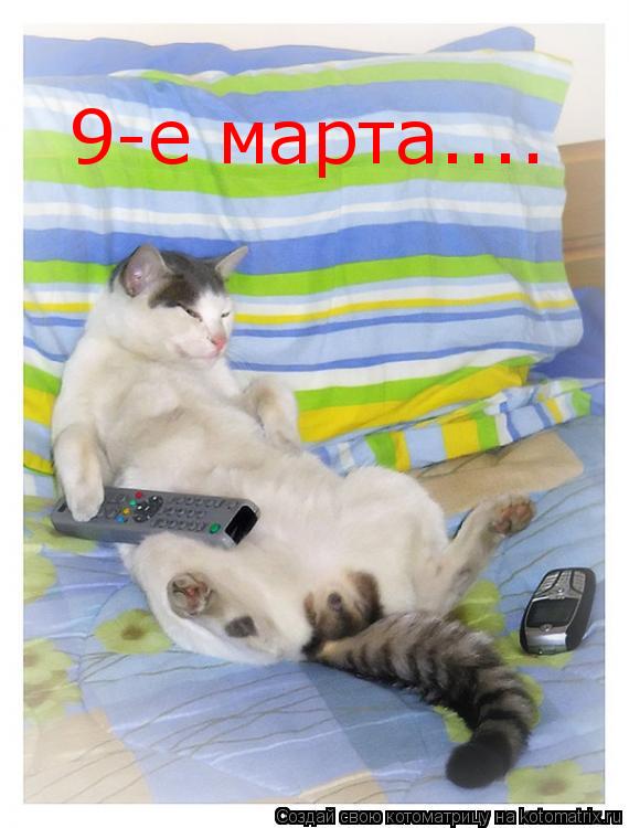 Котоматрица: 9-е марта....