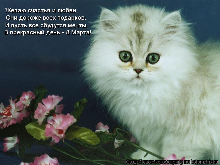 Желаю счастья и любви, Они дороже всех подарков. И пусть все сбудутся мечты В прекрасный день - 8 М... Котоматрица: Желаю счастья и любви, Они дороже всех подарков. И пусть все сбудутся мечты В прекрасный день - 8 Марта!