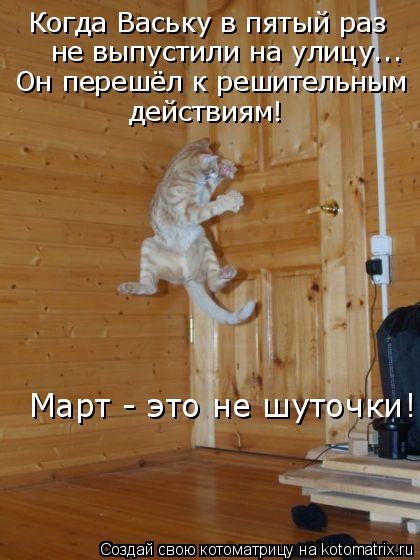 Когда Ваську в пятый раз не выпустили на улицу... Он перешёл к решительным действиям! Март - это не ш... Котоматрица: Когда Ваську в пятый раз не выпустили на улицу... Он перешёл к решительным действиям! Март - это не шуточки!