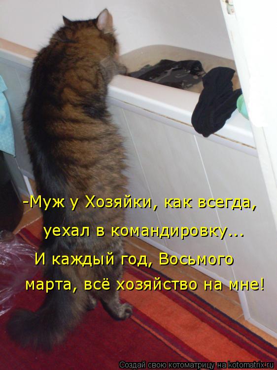 уехал в командировку... И каждый год, Восьмого -Муж у Хозяйки, как всегда, марта, всё хозяйство на м... Котоматрица: уехал в командировку... И каждый год, Восьмого -Муж у Хозяйки, как всегда, марта, всё хозяйство на мне!