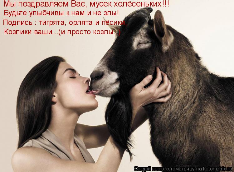 Мы поздравляем Вас, мусек холёсеньких!!! Будьте улыбчивы к нам и не злы! Подпись : тигрята, орлята и... Котоматрица: Мы поздравляем Вас, мусек холёсеньких!!! Будьте улыбчивы к нам и не злы! Подпись : тигрята, орлята и пёсики, Козлики ваши...(и просто козлы..)