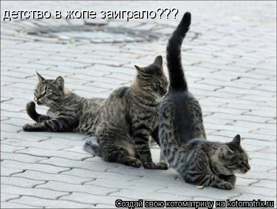 детство в жопе заиграло???... Котоматрица: детство в жопе заиграло???