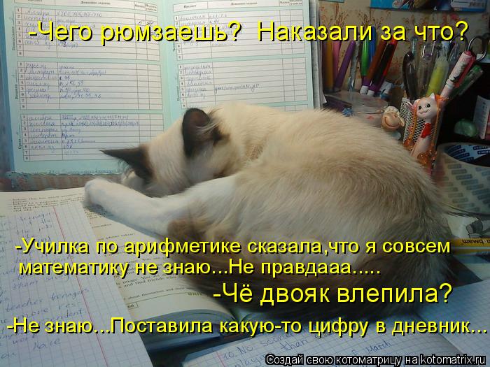 -Чего рюмзаешь? Наказали за что? -Училка по арифметике сказала,что я совсем математику не знаю...Не ... Котоматрица: -Чего рюмзаешь? Наказали за что? -Училка по арифметике сказала,что я совсем математику не знаю...Не правдааа..... -Чё двояк влепила? -Не знаю...По