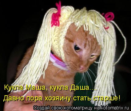 Котоматрица: Кукла Маша, кукла Даша.... Давно пора хозяину стать старше!