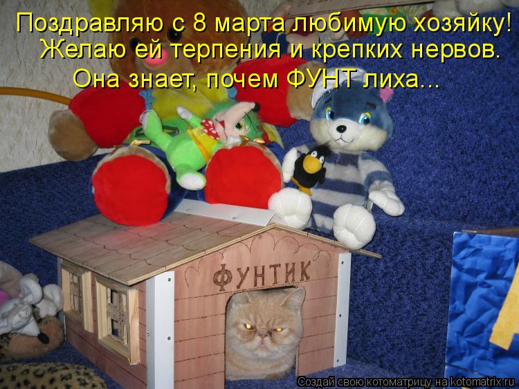 Котоматрица: Поздравляю с 8 марта любимую хозяйку! Желаю ей терпения и крепких нервов. Она знает, почем ФУНТ лиха...
