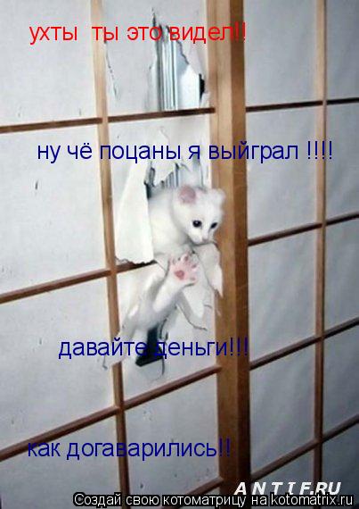 Котоматрица: ухты  ты это видел!! ну чё поцаны я выйграл !!!! давайте деньги!!! как догаварились!!