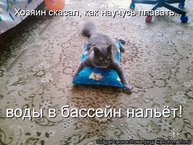 Котоматрица: Хозяин сказал, как научусь плавать... воды в бассейн нальёт!