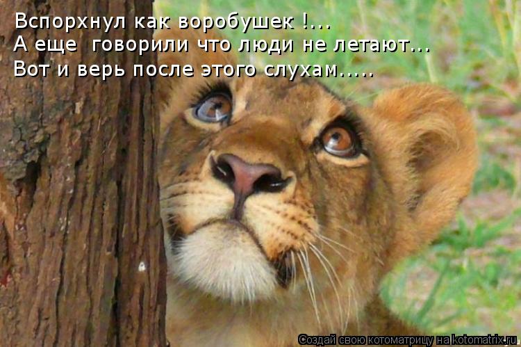 http://kotomatrix.ru/images/lolz/2009/03/08/dTg.jpg