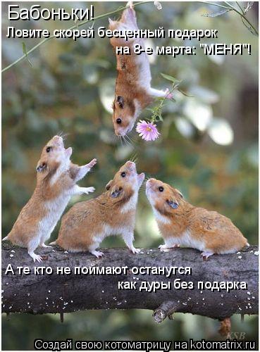 Бабоньки! Ловите скорей бесценный подарок на 8-е марта: "МЕНЯ"! А те кто не поймают останутся как дур... Котоматрица: Бабоньки! Ловите скорей бесценный подарок на 8-е марта: "МЕНЯ"! А те кто не поймают останутся как дуры без подарка