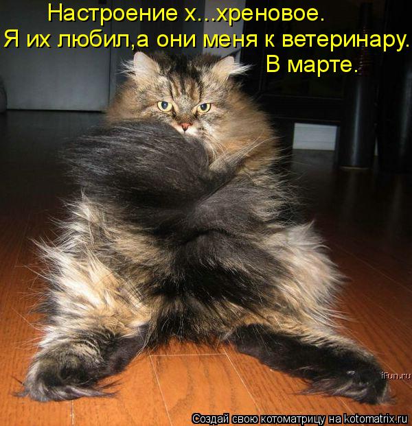Котоматрица: Настроение х...хреновое. Я их любил,а они меня к ветеринару. В марте.