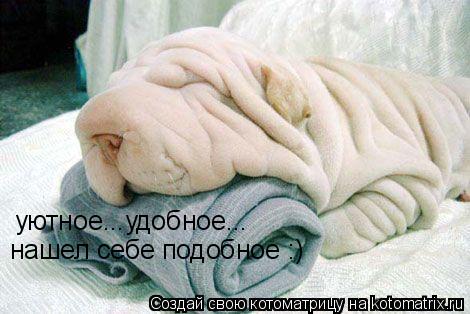 уютное...удобное... нашел себе подобное :)... Котоматрица: уютное...удобное... нашел себе подобное :)