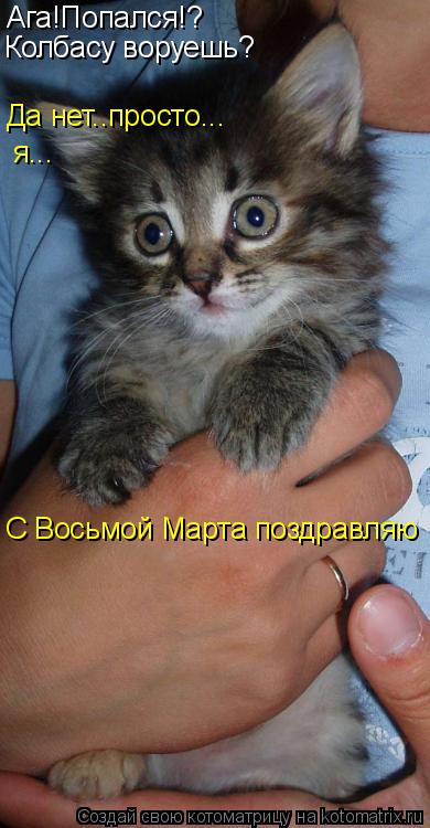 Ага!Попался!? Колбасу воруешь? я... Да нет..просто... С Восьмой Марта поздравляю... Котоматрица: Ага!Попался!? Колбасу воруешь? я... Да нет..просто... С Восьмой Марта поздравляю