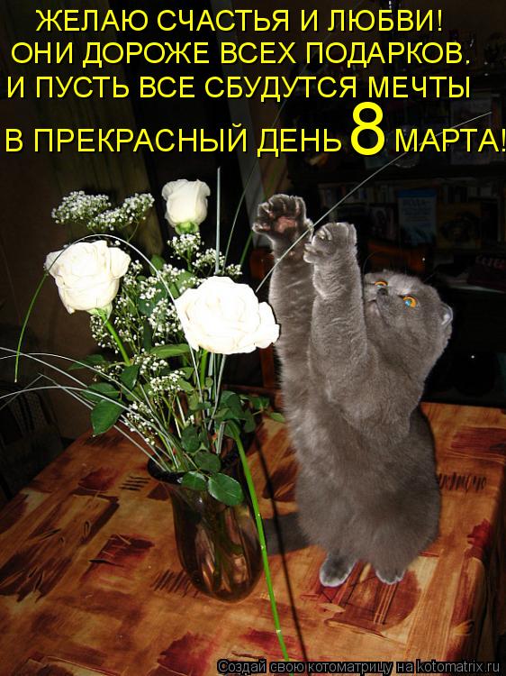 Котоматрица: ЖЕЛАЮ СЧАСТЬЯ И ЛЮБВИ! ОНИ ДОРОЖЕ ВСЕХ ПОДАРКОВ. И ПУСТЬ ВСЕ СБУДУТСЯ МЕЧТЫ В ПРЕКРАСНЫЙ ДЕНЬ  ..  МАРТА! 8