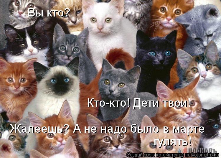 Котоматрица: Вы кто? Кто-кто! Дети твои!  Жалеешь? А не надо было в марте  гулять!