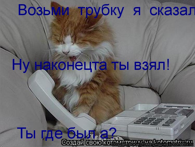 Возьми трубку я сказал! Ну наконецта ты взял! Ты где был а?... Котоматрица: Возьми трубку я сказал! Ну наконецта ты взял! Ты где был а?